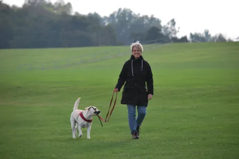 Wie man Hund Begegnung stressfrei gestaltet: Praktische Tipps