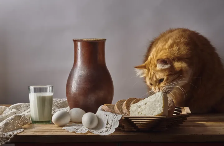 A ginger cat sniffing bread on a rustic table with milk and eggs, creating a cozy, still life scene.