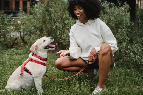 Beste Gassigehzeiten Hund: Tipps für optimale Bewegung entdecken