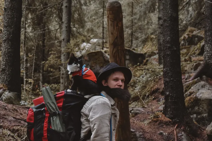 Man hiking in a forest with cat on backpack, enjoying nature.