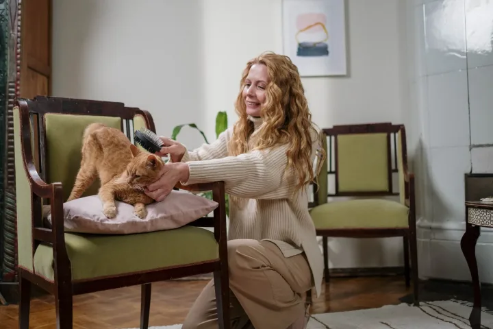 A woman gently brushes her ginger cat sitting on an armchair indoors.