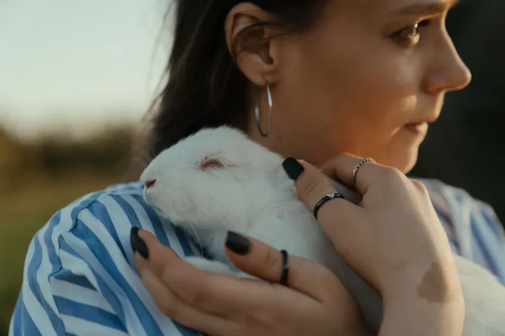 A woman gently holding a white rabbit outdoors during sunset, creating a warm and serene moment.
