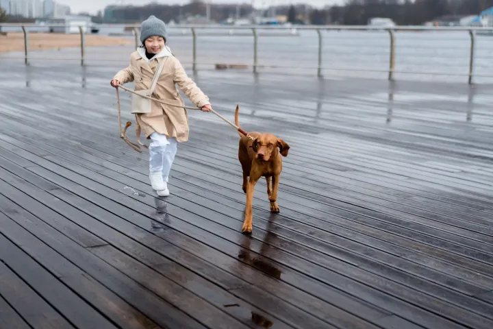 A joyful girl in a coat and beanie runs with her brown dog on a wet wooden dock.
